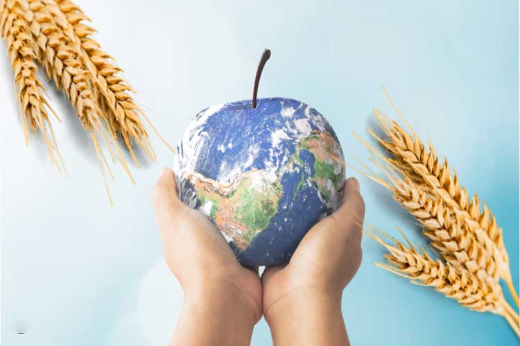 วิกฤติพลังงาน-อาหารยังไม่จบ แนะไทยชูบทบาท “ครัวโลก” สร้างรายได้ภาคส่งออก